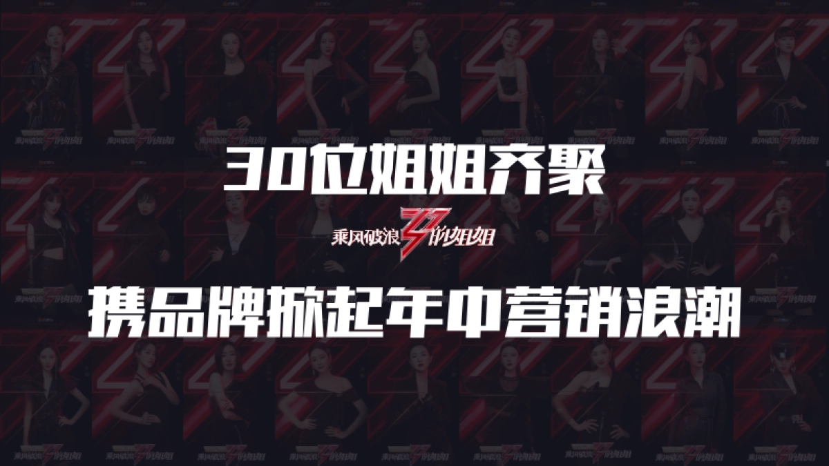 《乘风破浪的姐姐》抖音直播招商方案_第5页