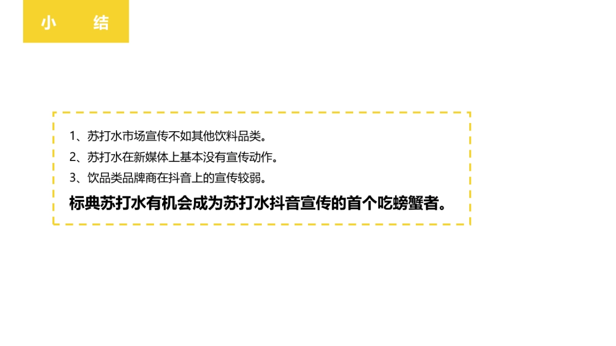 2019标典苏打水抖音推广思路_第10页