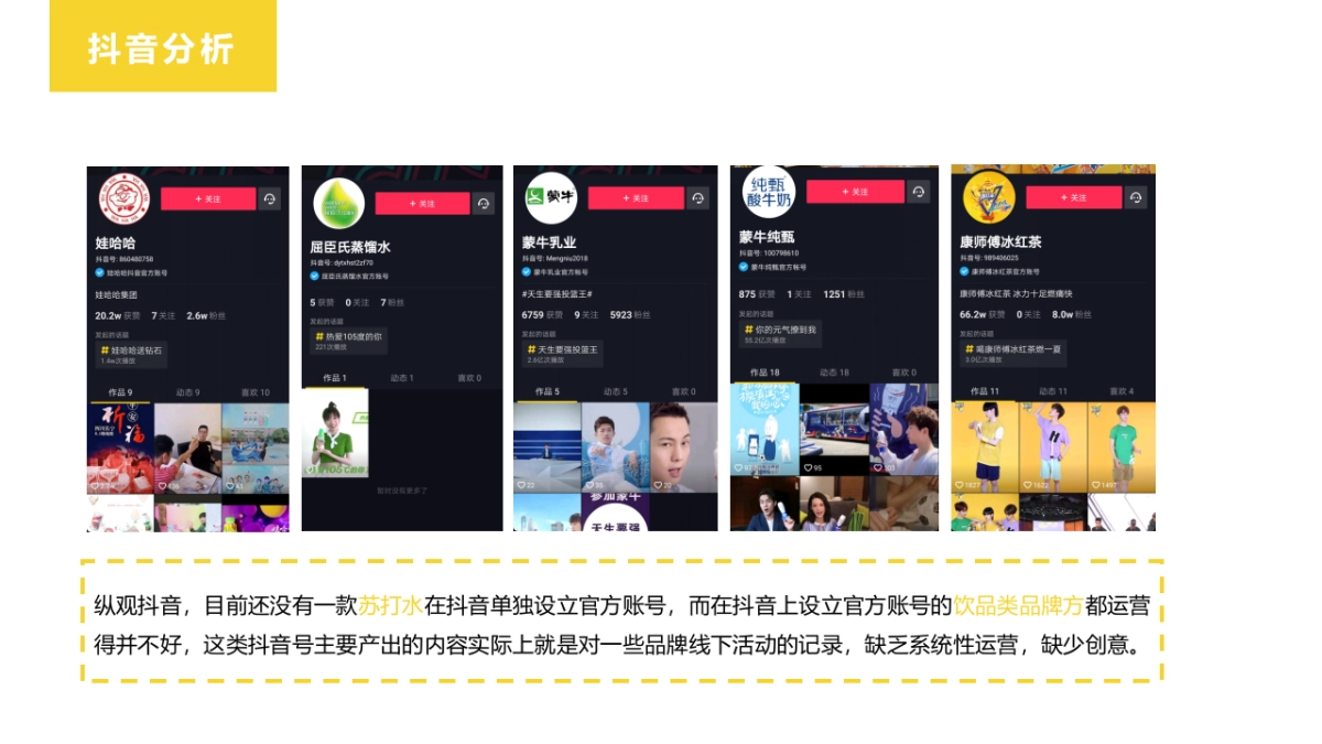 2019标典苏打水抖音推广思路_第8页