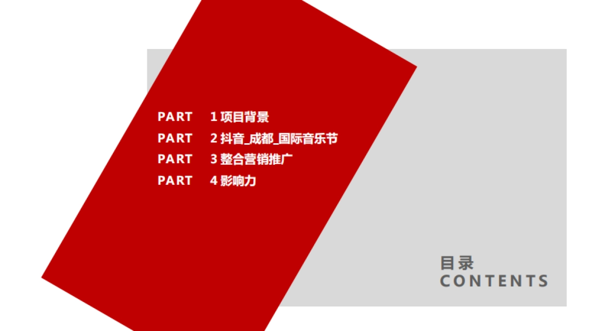 2019成都抖音国际音乐节_第3页