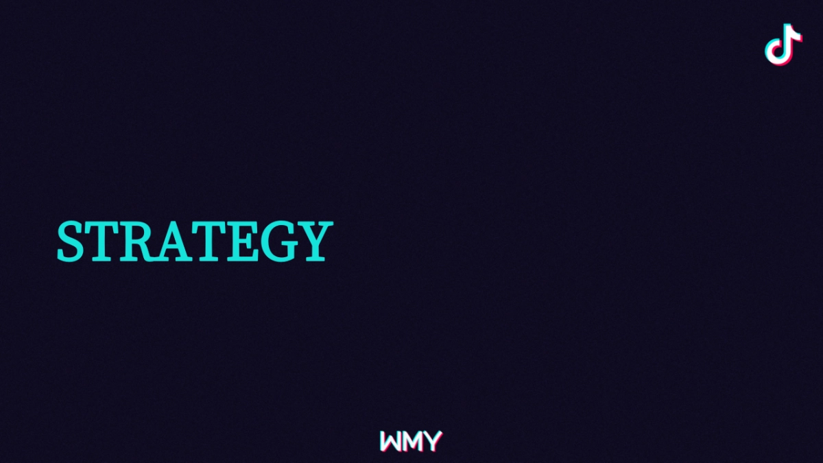 2019抖音VLOG扶持计划营销案_第2页