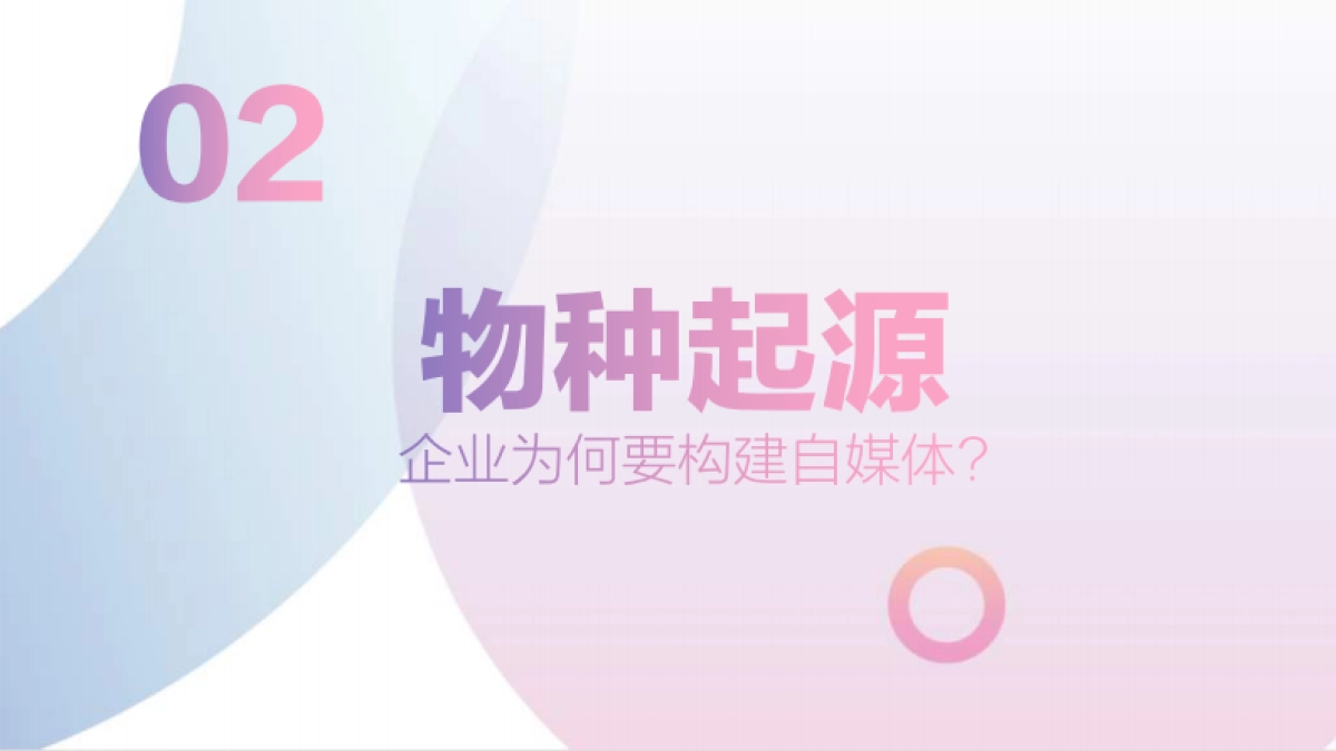2019抖音企业蓝V生态计划_第8页