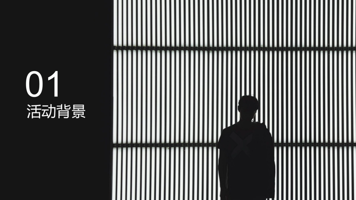 2019抖音网红音乐节活动策划方案_第3页