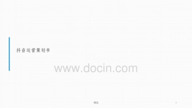 2020年抖音运营分析方案ppt课件