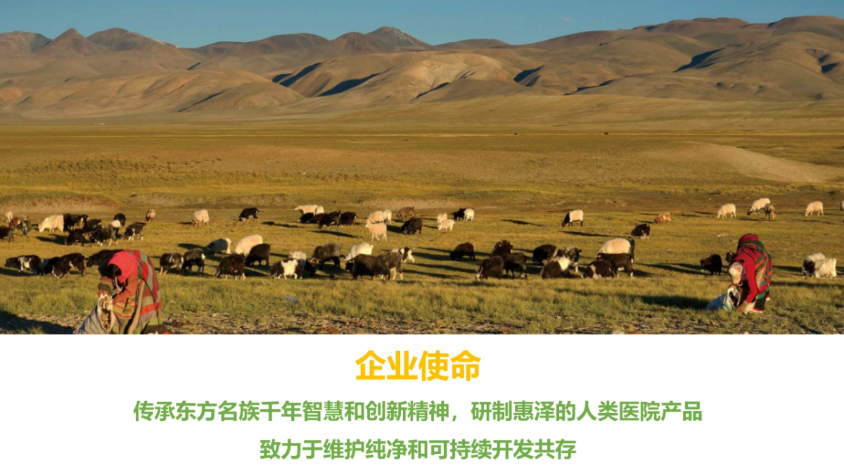 抖音代运营—健康集团策划方案_第5页