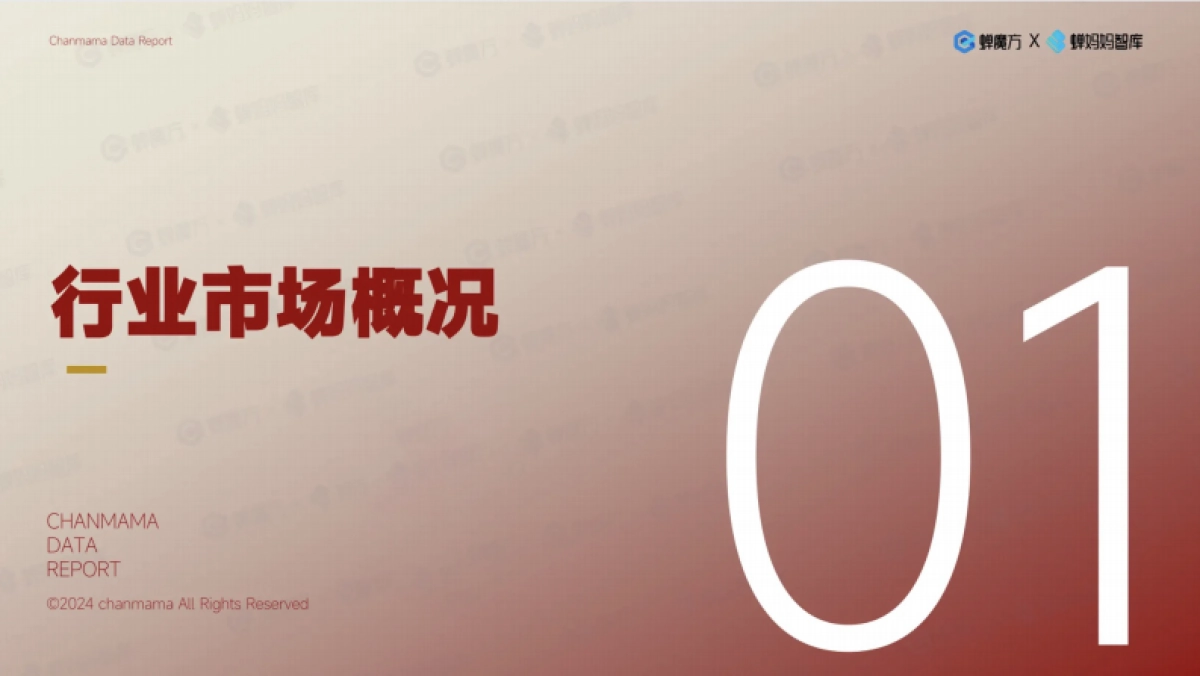 抖音第一美妆护肤品牌韩束拆解_第3页