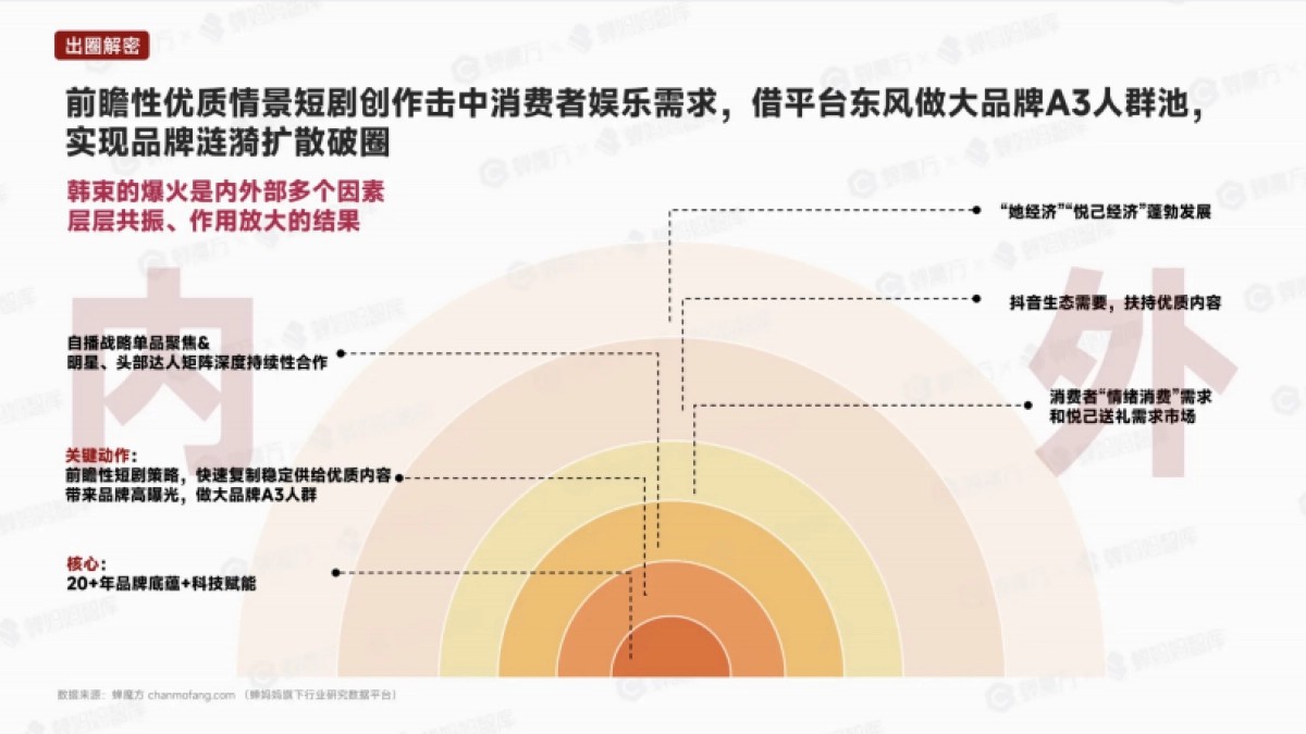 抖音第一美妆护肤品牌韩束拆解_第9页