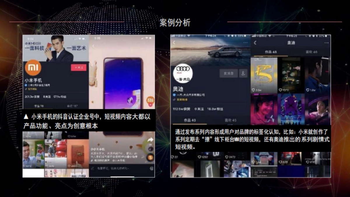 张家界一线天景区抖音IP打造策划方案_第4页