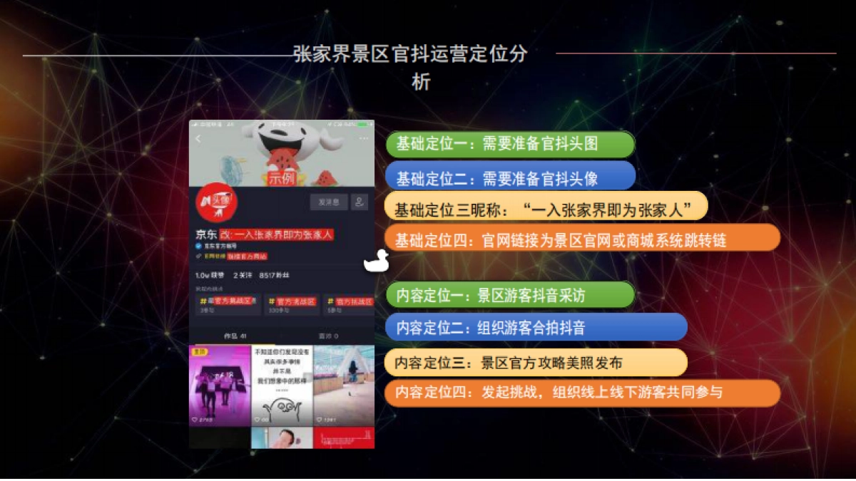 张家界一线天景区抖音IP打造策划方案_第5页