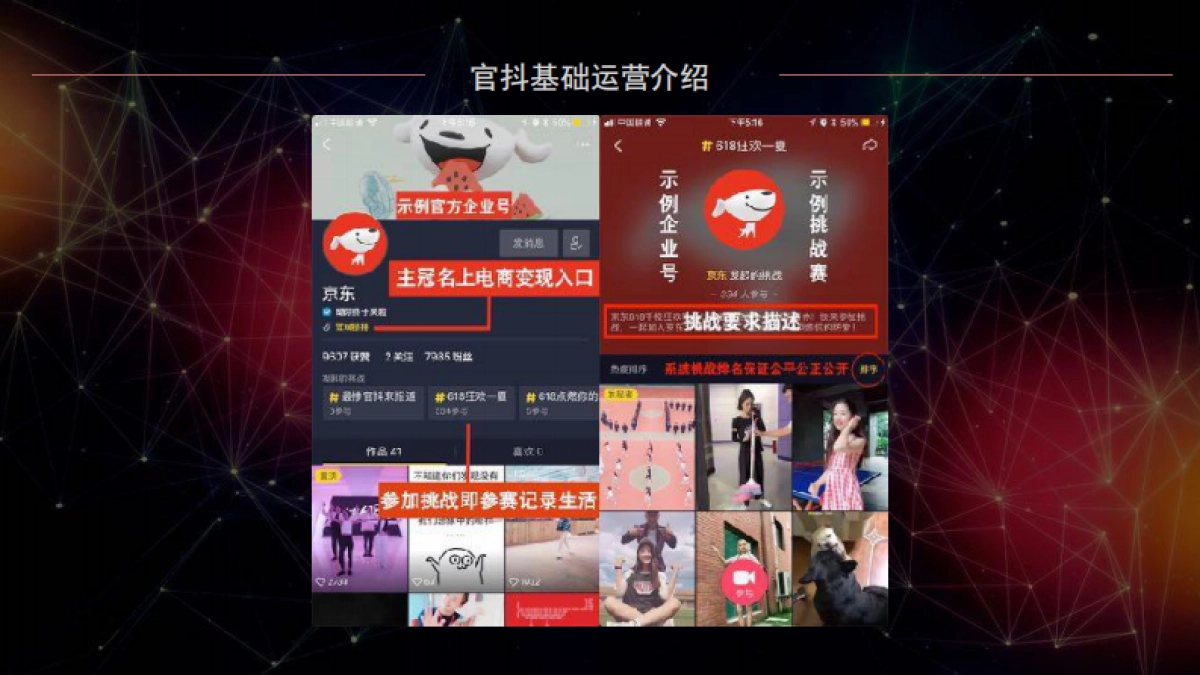 张家界一线天景区抖音IP打造策划方案_第6页