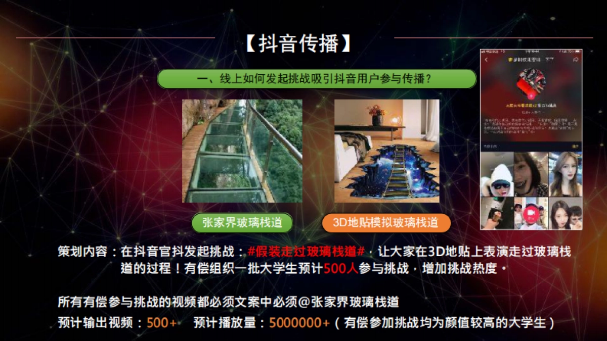 张家界一线天景区抖音IP打造策划方案_第8页