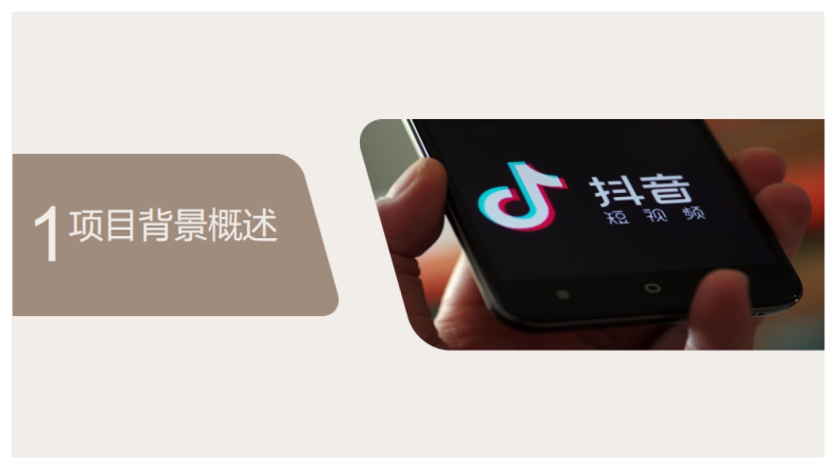 政务新媒体抖音代运营方案PPT_第3页