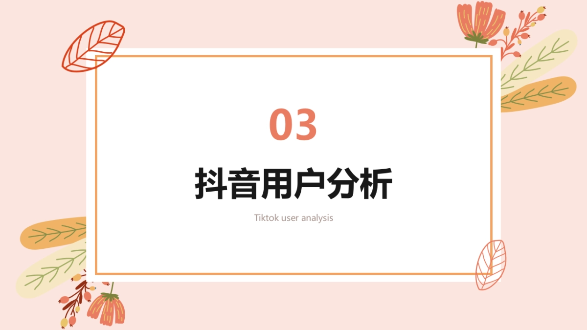 抖音短视频玩法策略_第10页