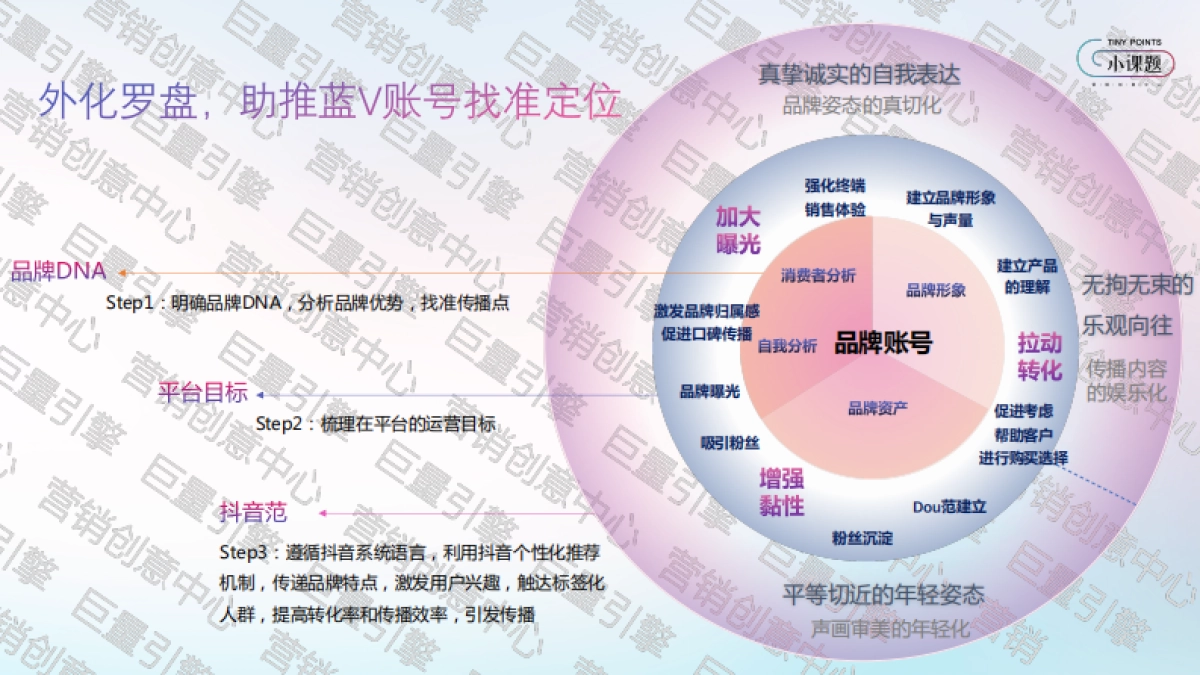 抖音蓝V账号定位及外化罗盘_第3页