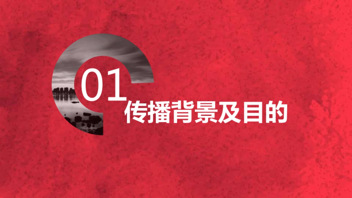广誉远169定坤妆169抖音挑战赛_第4页