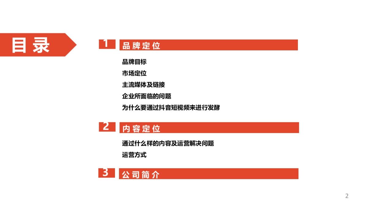 海马集团抖音短视频生态计划_第2页