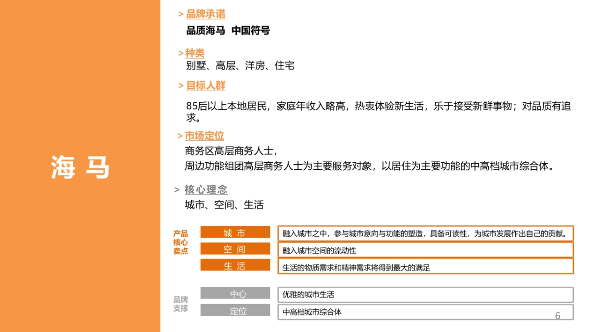 海马集团抖音短视频生态计划_第6页