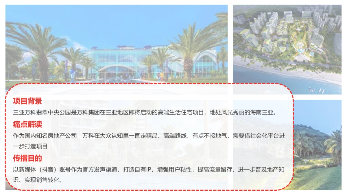 海南万科年度抖音代运营&全网营销传播规划方案-27P_第3页