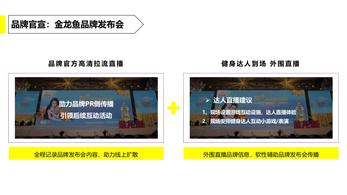 金龙鱼大米品牌抖音传播方案_第4页