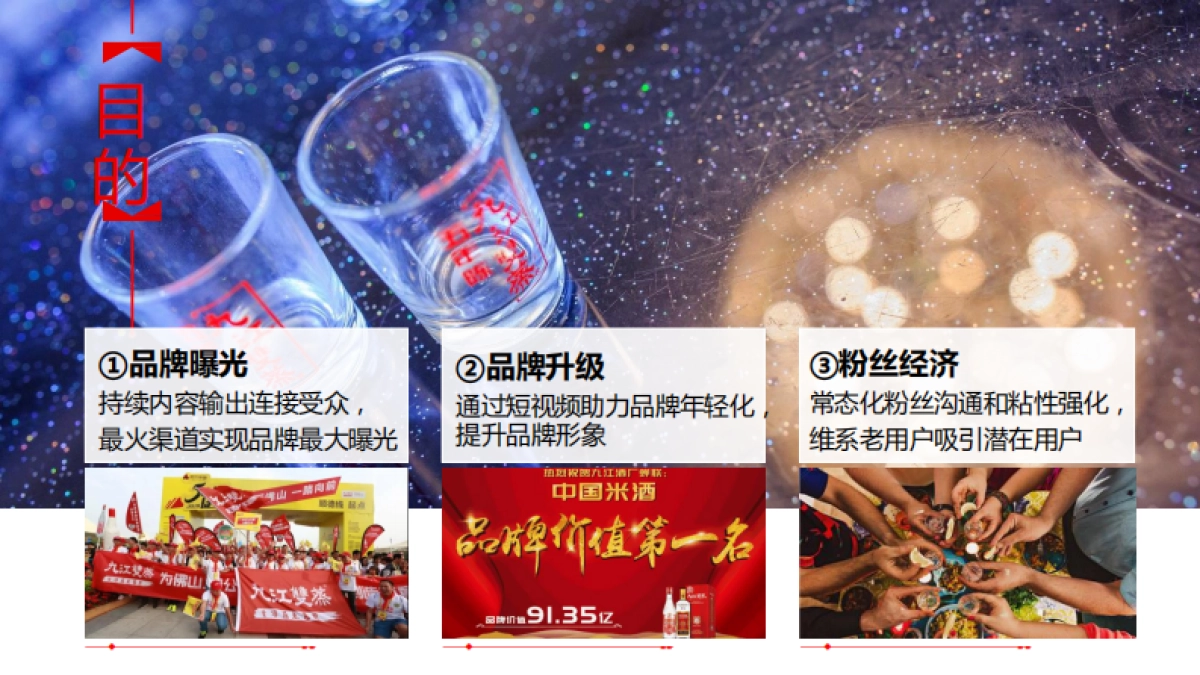 九江双蒸酒抖音代运营策划_第9页