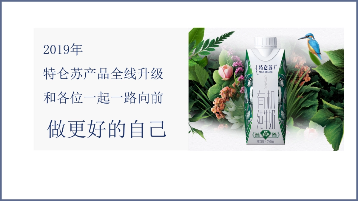 蒙牛特仑苏抖音营销方案_第3页
