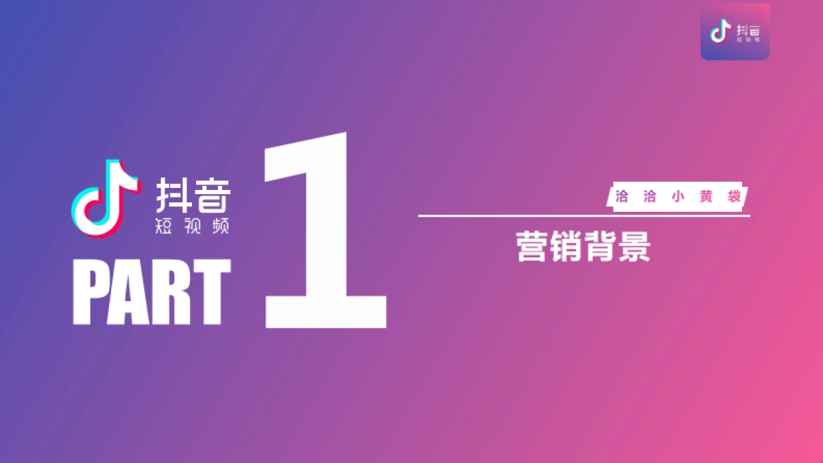 洽洽小黄袋&抖音短视频营销方案_第3页