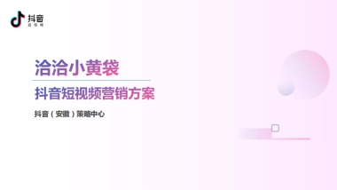 洽洽小黄袋&抖音短视频营销方案