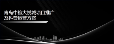 青岛中粮大悦城项目推广及抖音运营策划案