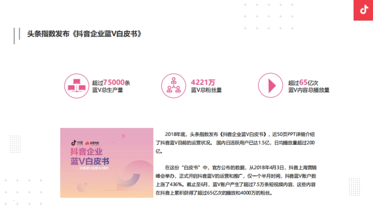 万象城入桂抖音运营方案-52P_第6页