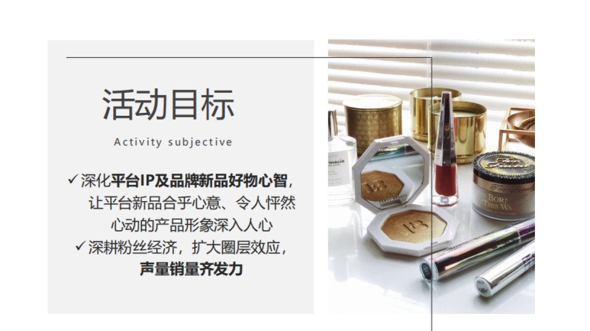 2019美妆新品线上营销方案（快手直播、VLOG种草、话题营销） _第4页