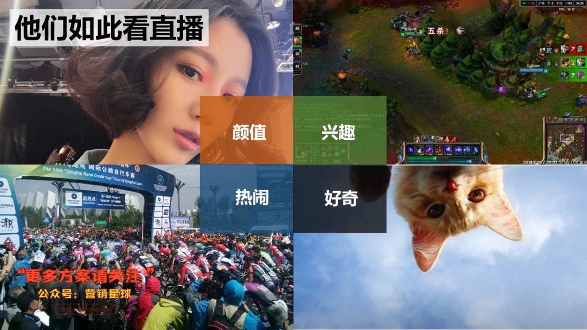 “好奇家电实验室”美的电商直播策划案_第4页