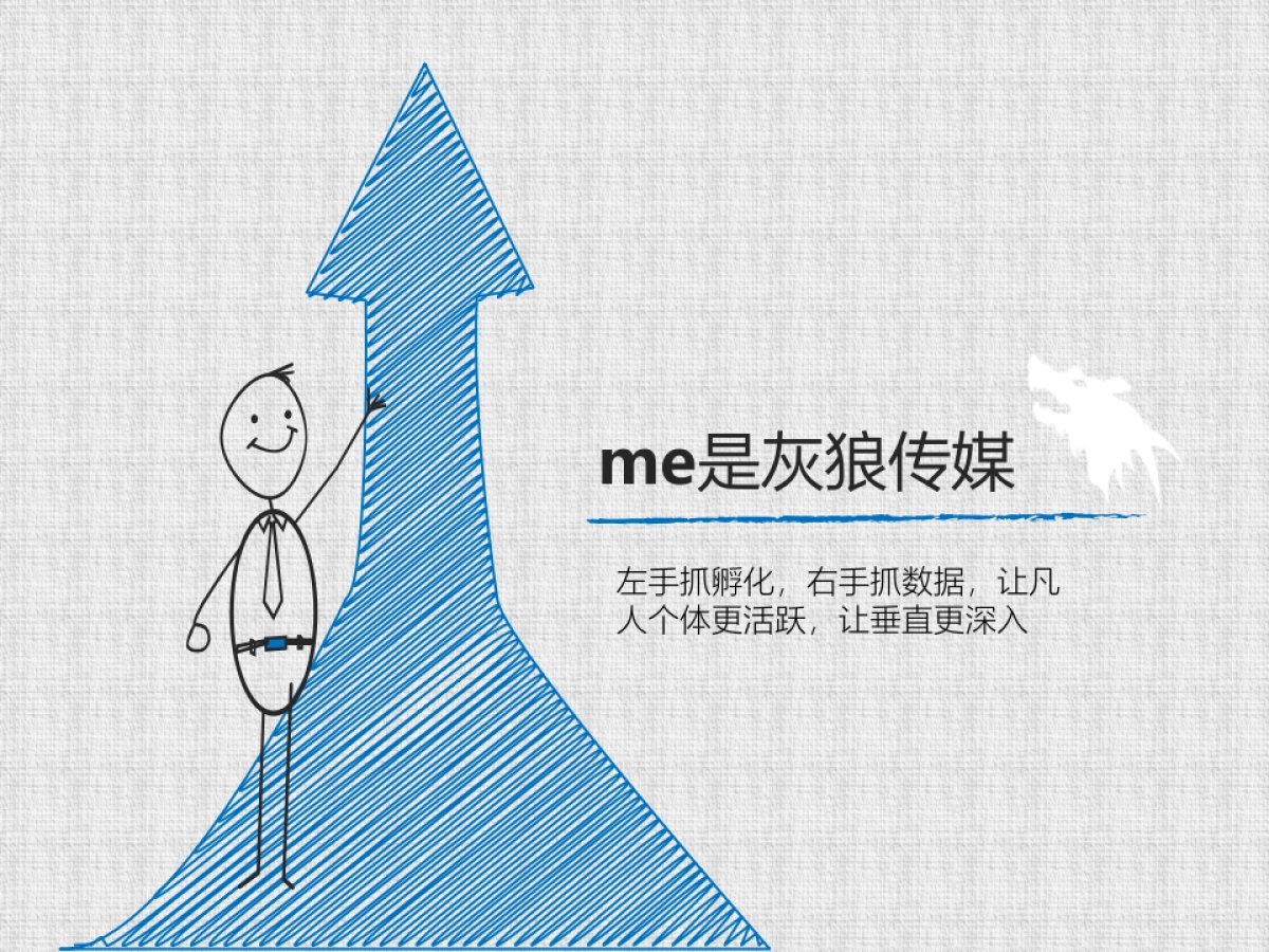 《灰狼传媒》直播网红标准制造公司商业计划书_第1页