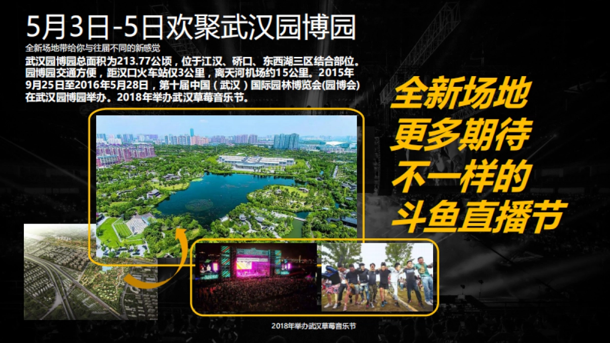 2019斗鱼国际直播节（嘉年华）招商方案-V2.0_第8页