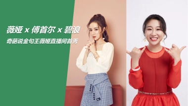 2021薇娅 x 傅首尔 x 碧浪淘宝直播卖进方案