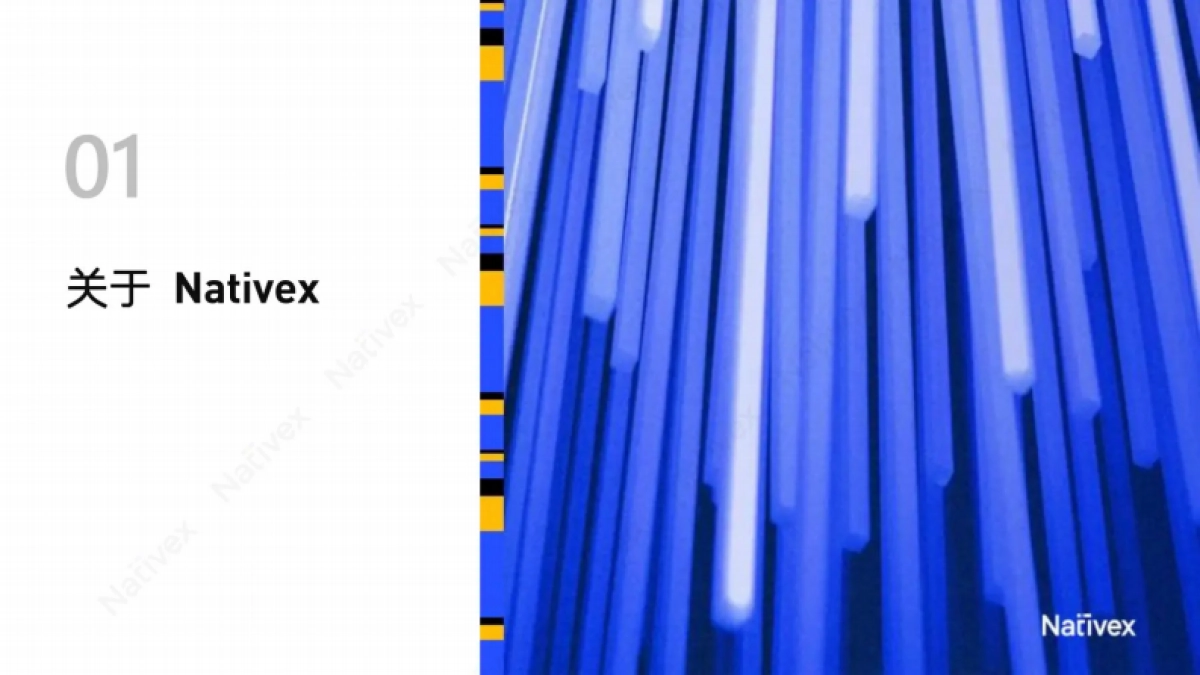 Nativex&Topon直播：找好增长方式社交出海2023-逆风翻盘_第3页