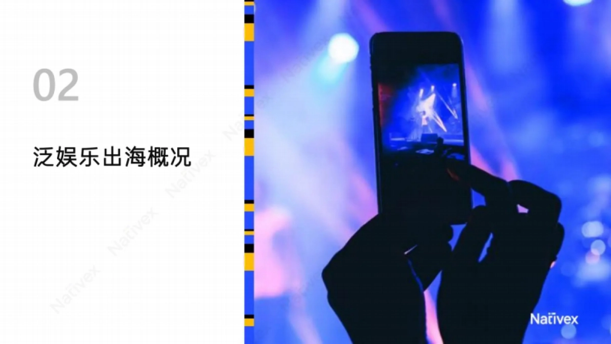 Nativex&Topon直播：找好增长方式社交出海2023-逆风翻盘_第8页