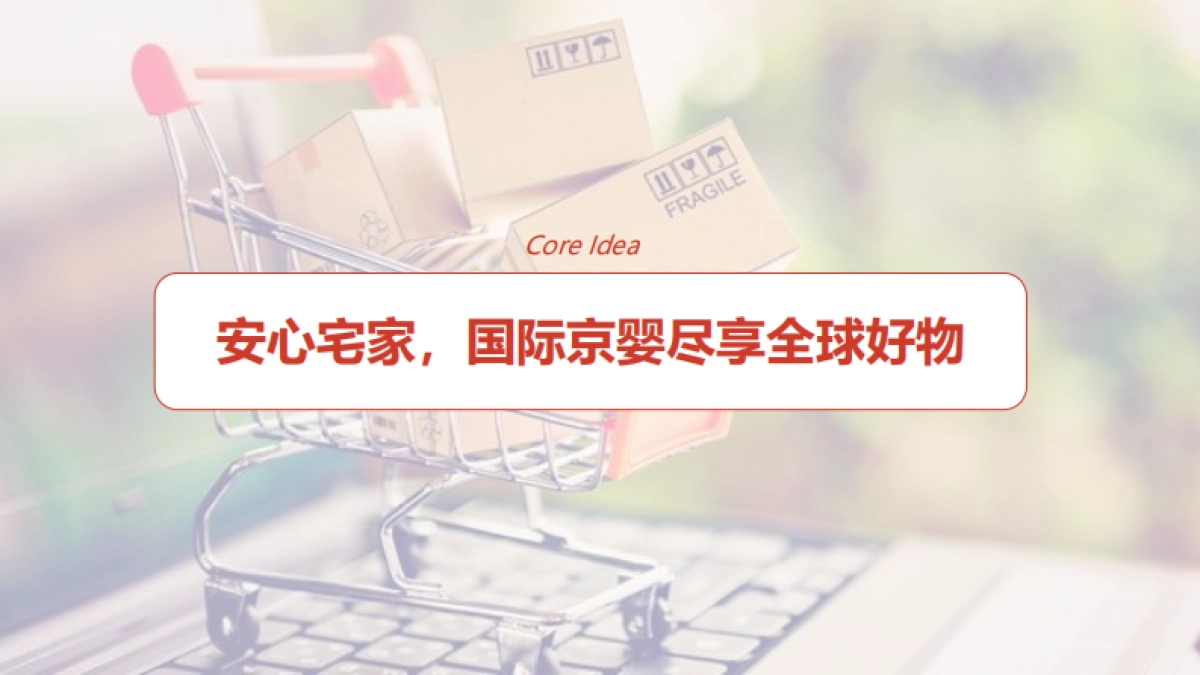 京东跨境母婴 IP打造计划-国际京婴圈直播综艺执行方案_第9页