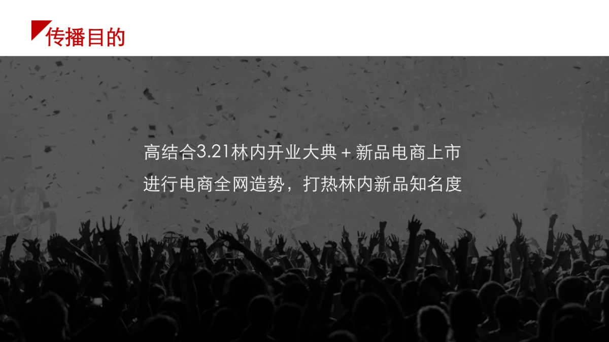 林内321直播社交传播方案_第3页