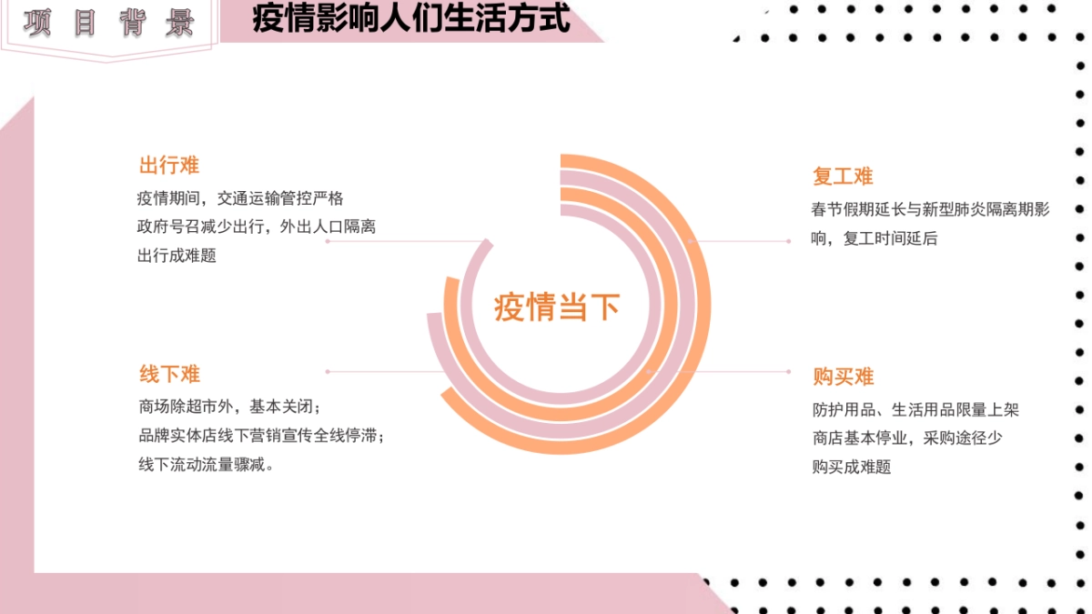 食品类直播带货方案_第5页