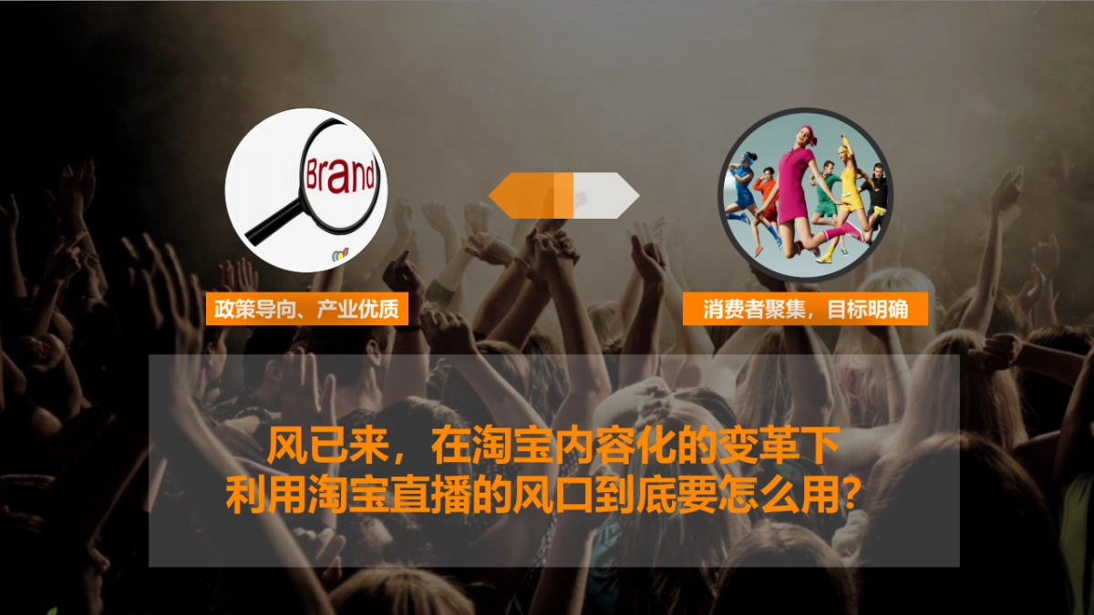 淘宝直播&母婴主题活动方案_第8页