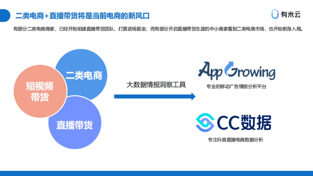 有米云-电商新风口:二类电商 直播带货_第7页