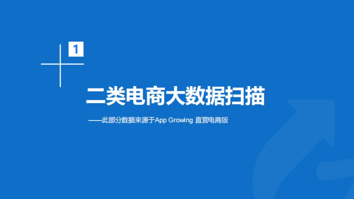 有米云-电商新风口:二类电商 直播带货_第8页