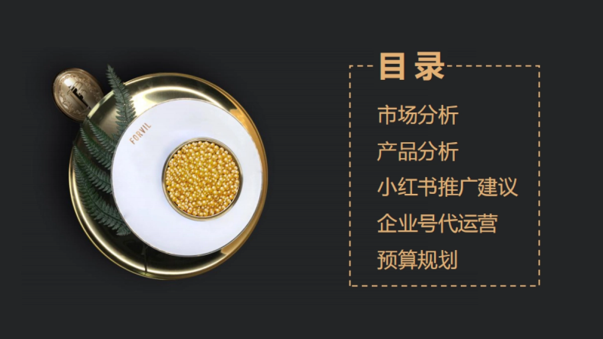 温莎森林小红书推广方案_第2页