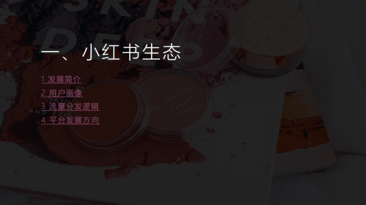 《小红书运营投放指南》_第3页