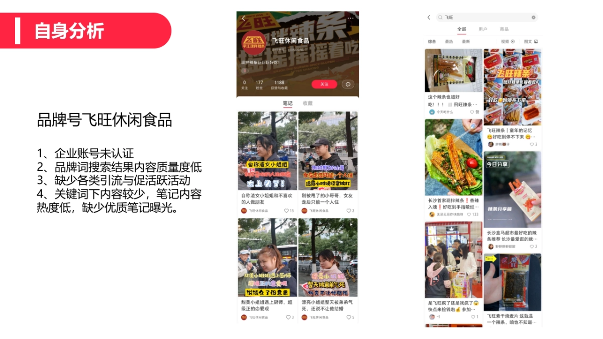 2022飞旺辣条小红书品牌营销方案_第10页