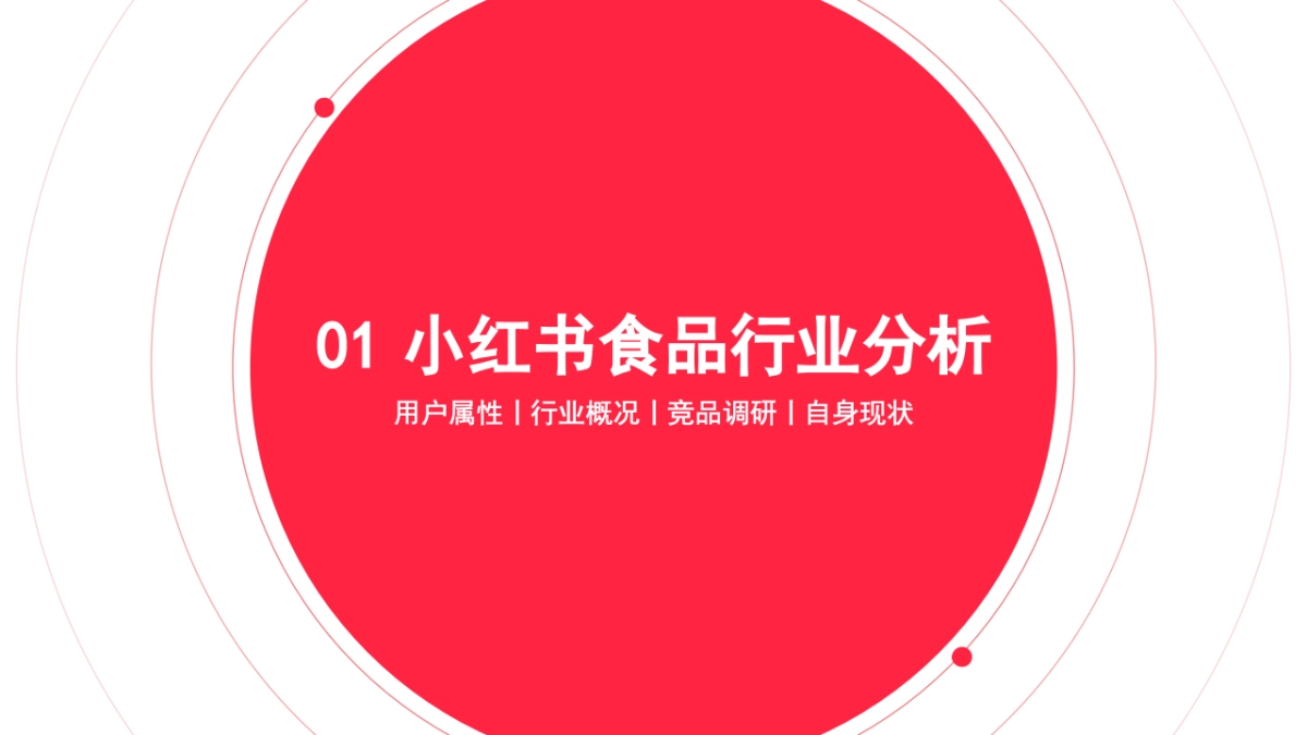 2022飞旺辣条小红书品牌营销方案_第3页