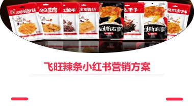 2022飞旺辣条小红书品牌营销方案