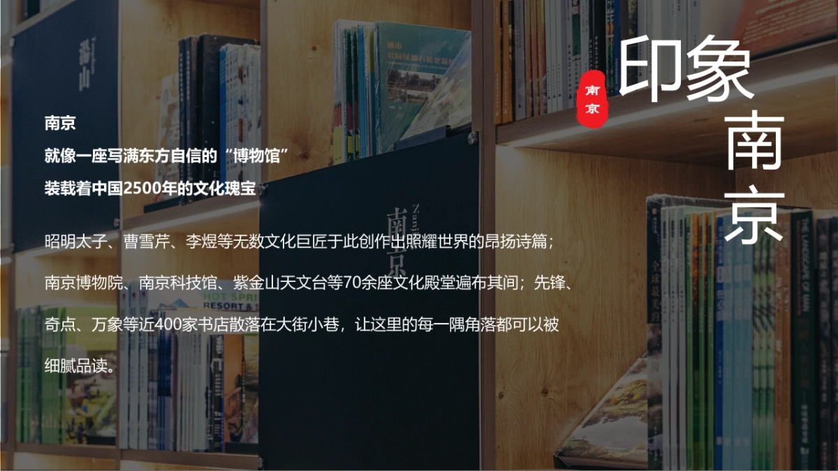2022年南京文旅深度游小红书营销方案_第8页