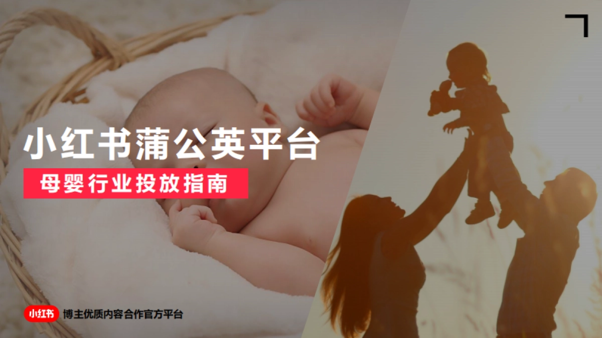 2022年小红书蒲公英母婴行业投放指南_第1页