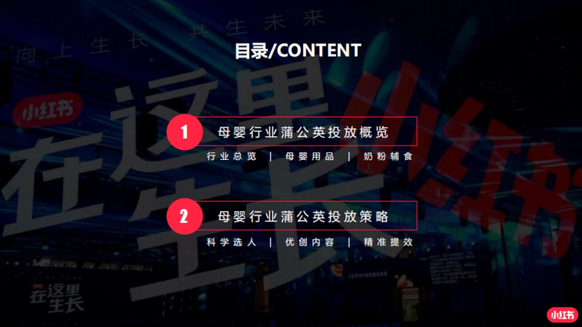 2022年小红书蒲公英母婴行业投放指南_第2页